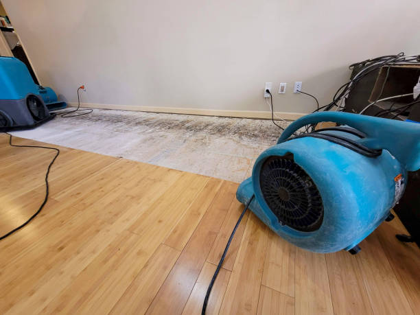 Professional Emergency Water Damage technician working in Primghar, IA